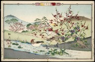 Birds and Flowers