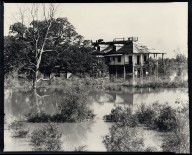 Stanton Plantation