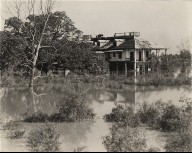 Stanton Plantation