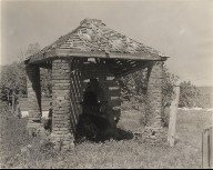 Columbia Plantation