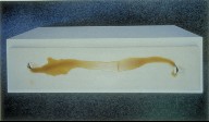 Untitled (from Entanglements)