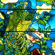 Peacocks and Peonies I