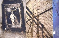 Human Rights