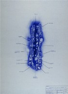 Three Mile High Club, Proliferation - Stage II