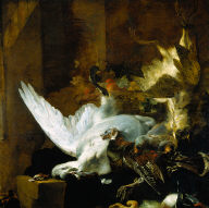 Still Life with a Dead Swan