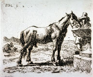 Le cheval buvant