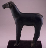 Horse (Capadocian)