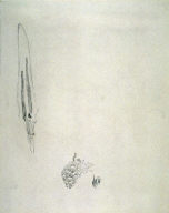 Pile of skulls and elongated object above