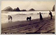 Seal Rock, Near the Cliff House