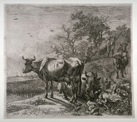 The Cowherd