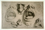 Studies of Nose and Mouth