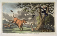 Dr. Syntax Pursued By a Bull
