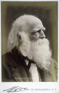 William Cullen Bryant(1794-1878)