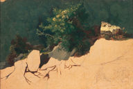 Study of Mountain Laurel and Rocks in the Roman Campagna