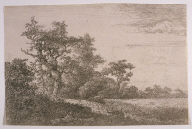 The Corn Field