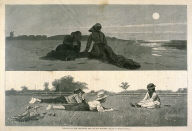 Flirting on the Seashore and on the Meadow