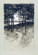 The path to the Lake
