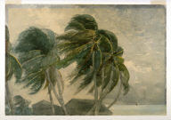 A "Norther", Key West