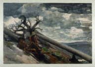 Burnt Mountain
