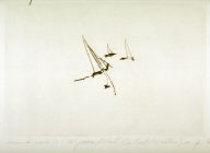 Second Sails 6 (to James Abbott McNeill Whistler)