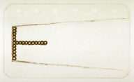 Working proof for the unpublished print (I) rejected from the edition of the set For circular fluorescent light