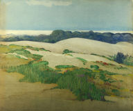 Sand Dunes