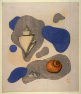 Composition with Sea Shells