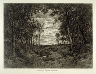 Small landscape