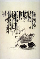 La Lithographie en couleurs