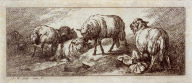 Sheep in Landscape