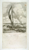 Prô-Volant des Iles Mulgrave (Océanie)