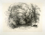 Country Lane