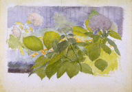 Floral Still Life