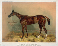 Emblem, Steeplechase Mare
