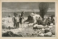 Clam Bake