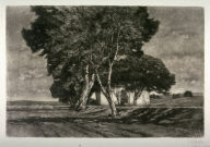 House with trees in middle of field