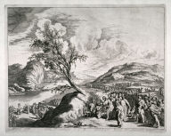 [#93 from] 54 Plates: miniatures de l'Empereur