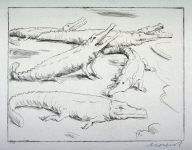 One of 12 Etchings of Animals: [Alligator]