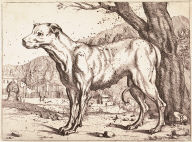 A Dog in a Landscape