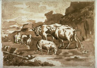 Cows and Sheep