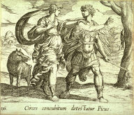 Circes concubitum detestatur Picus (Circe Changing Picus to a Bird), pl.136 from the series Ovids Metamorphoses