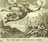 Uxor Pici nomine Canens in auram mutatur (Canens Searching for Picus), pl.137 from the series Ovids Metamorphoses