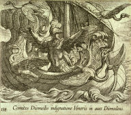 Comites Diomedis indignatione Veneris in aves Diomedeas (Acmon and his Friends Changed into Birds), pl.138 from the series Ovids Metamorphoses