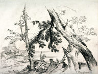 Nymphs and Satyrs in a Wooded Landscape