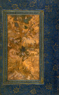 Animal Scene