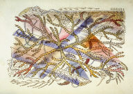 Page (194) from the book, Flights of Fancy or Imaginary Scraps