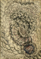 Page (202) from the book, Flights of Fancy or Imaginary Scraps