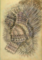 Page (204) from the book, Flights of Fancy or Imaginary Scraps