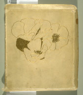 Philopolis, A Monthly Magazine for Those Who Care (San Francisco: 1908), vol. 3