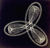 Untitled, fifth page in the book , Specimens of Fancy Turning Executed on the Hand or Foot Lathe with Geometric, Oval, and Eccentric Chucks, and Elliptical Cutting Frame (Philadelphia: Henry Carey Baird, 1869)